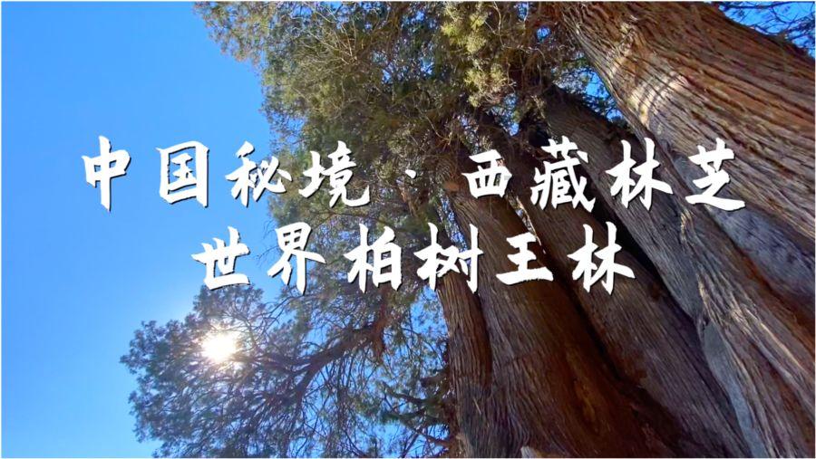解答你的问题,尽在内地片酬到底有多高
